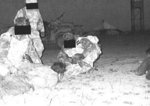 em muitas de suas incurses os homens do SAS faziam oficias iraquianos prisioneiros. Eles eram levados para a retaguarda nos Chinooks.